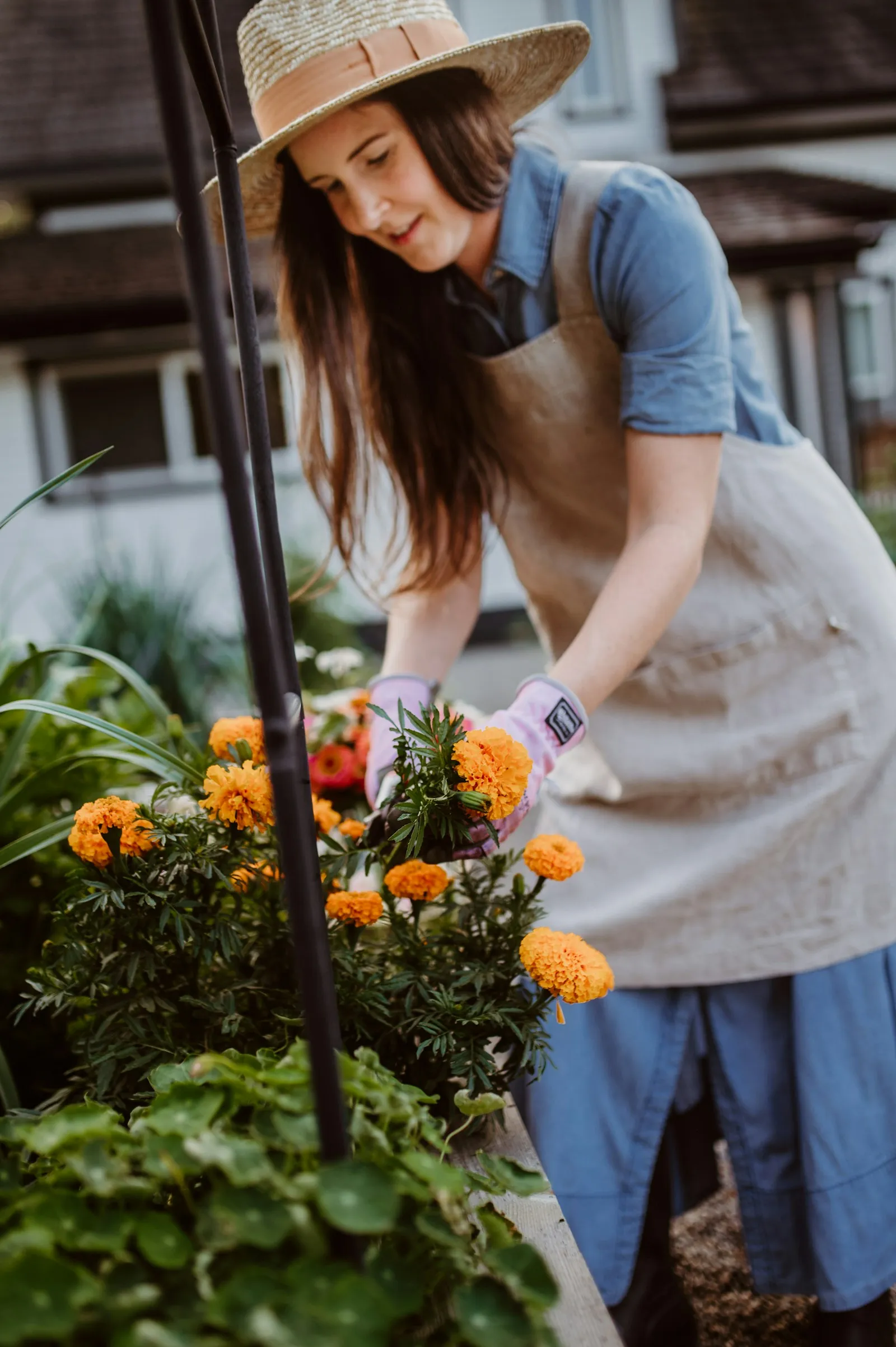 Landscaping & Garden